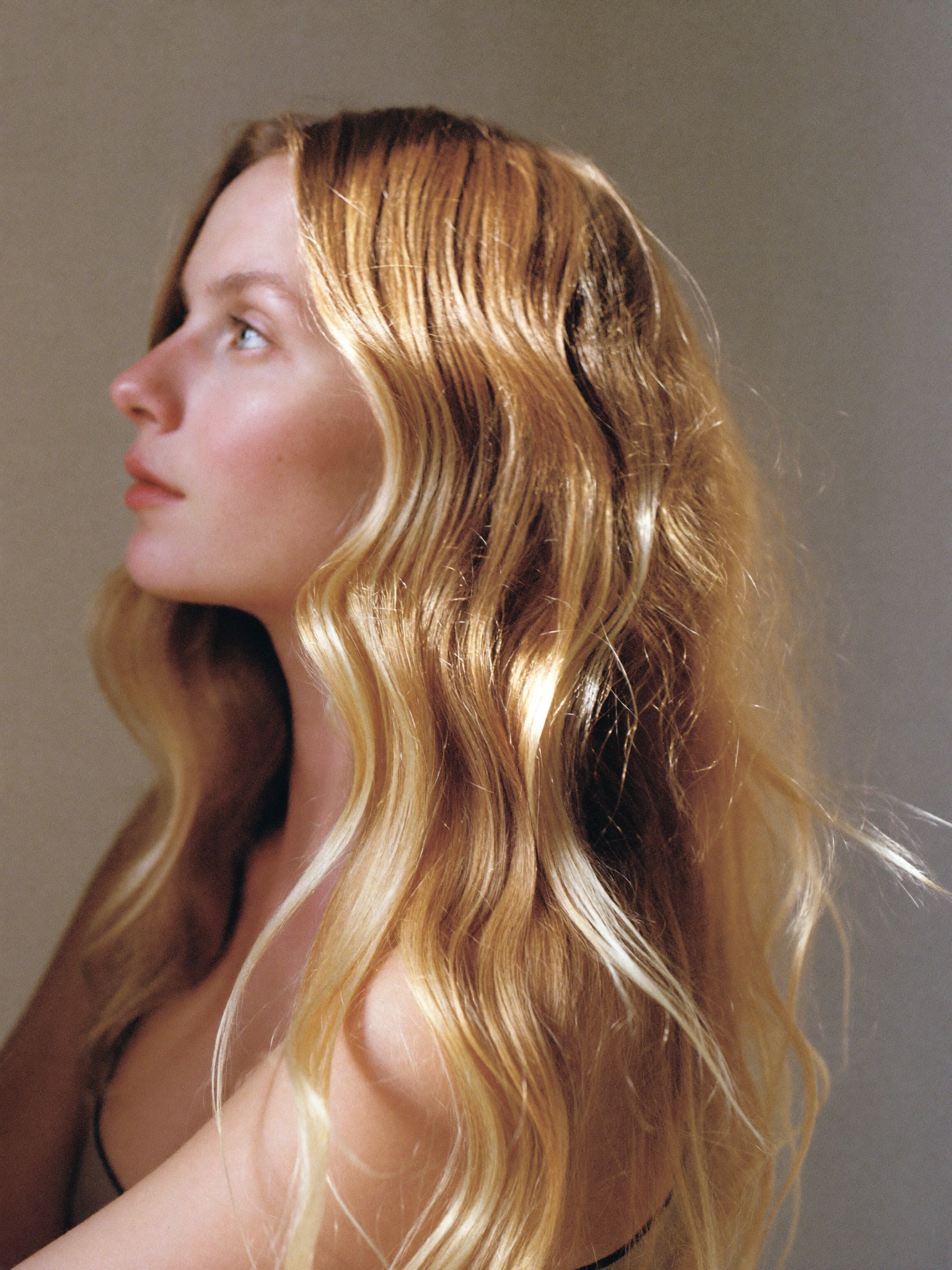 Colour — Honey Blonde
